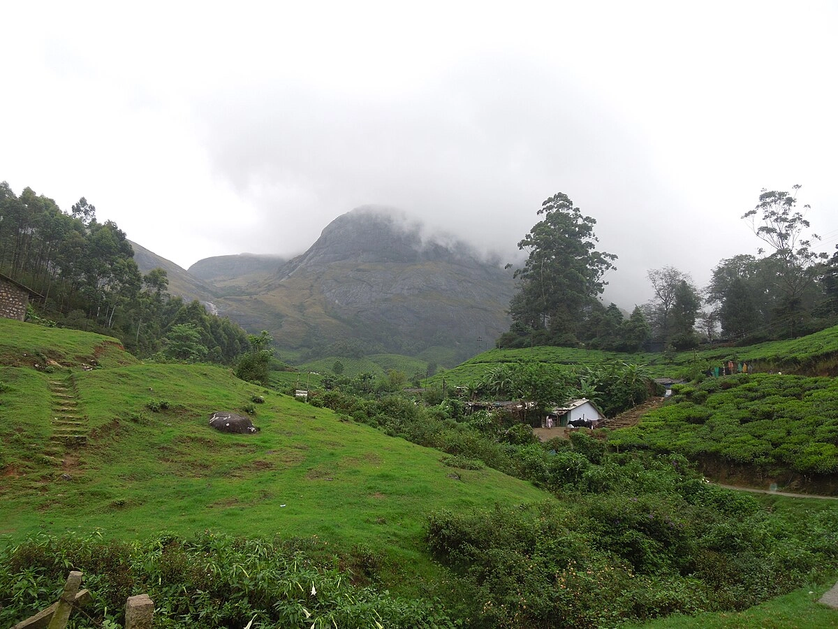 Munnar Hills